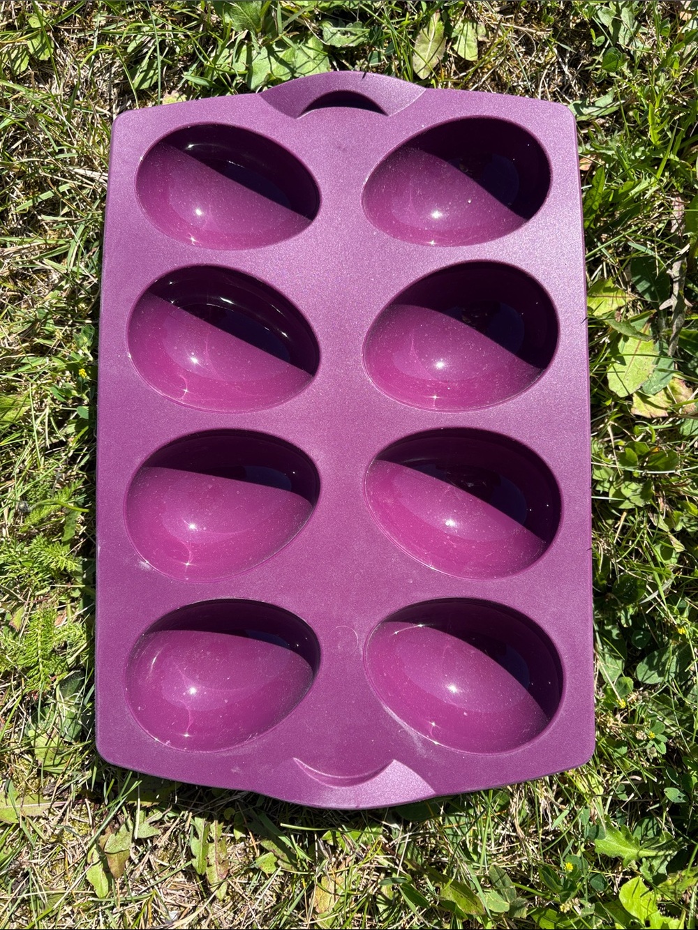 Tupperware egg